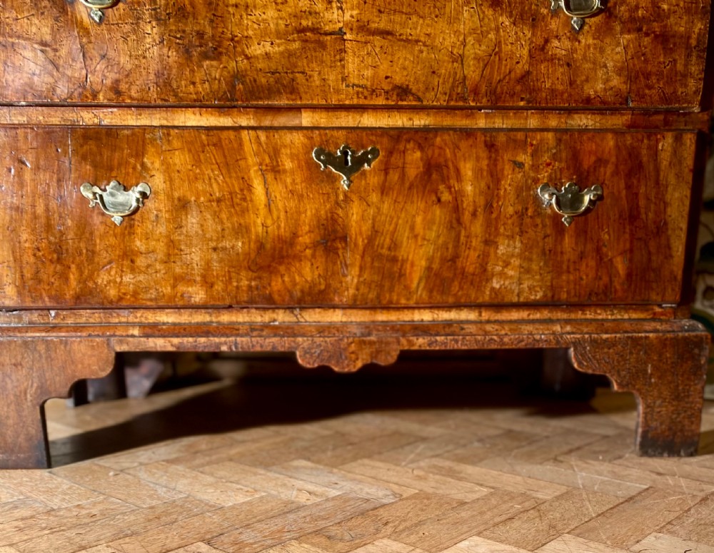 A tall Georgian burr walnut chest-on-chest featuring stacked drawers with brass drop handles and bracket feet. View II