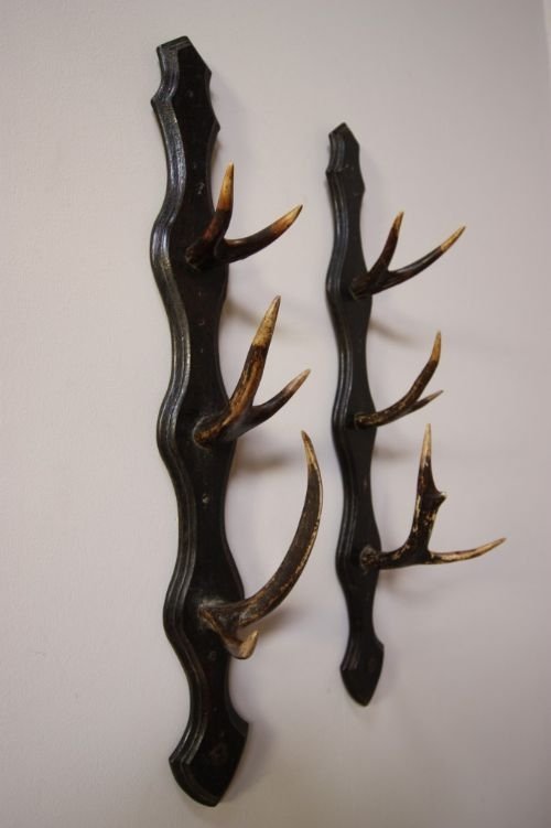 Pair of Antique Antler Hooks/whip Racks