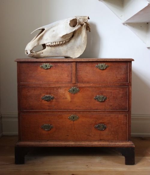 Rare Early 18th Century Fruitwood Chest of Drawers