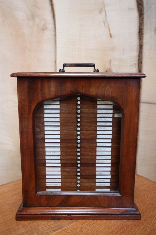 Mid Victorian Antique Mahogany Microscope Cabinet