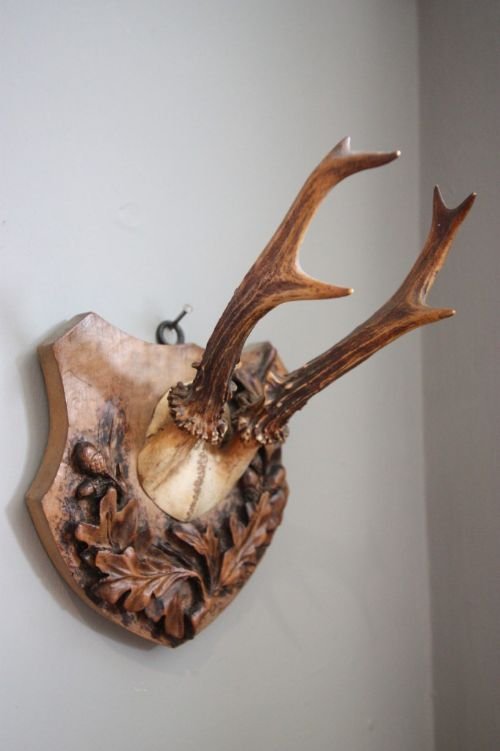 Set of Decorative Antique Roe Deer Antlers