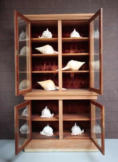 fig 2. Antique Mahogany Four Door Glazed Bookcase.