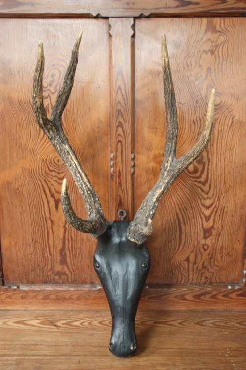 Antique Carved Deer Head & Antlers.