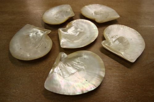 Set of Six 1920'S Seafood Plates