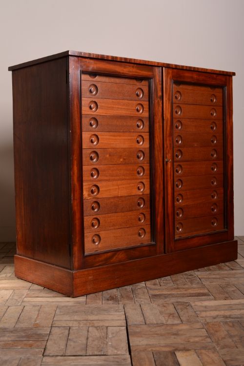Regency Antique Mahogany Collectors Cabinet