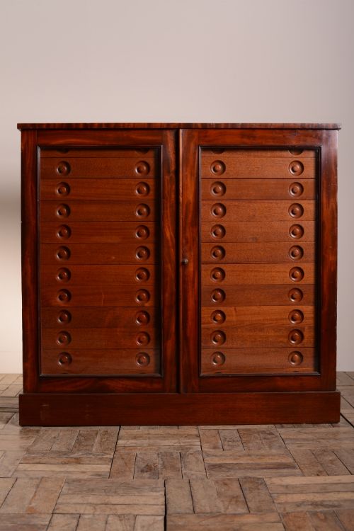 fig 1. Regency Antique Mahogany Collectors Cabinet