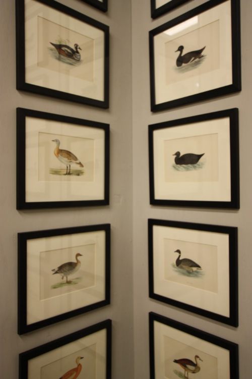 fig 2. Wonderful Antique Duck & Geese Prints. 20 Available.