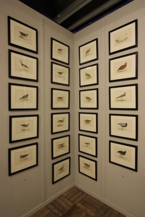 fig 1. Superb Antique Wading Bird Prints. 22 Available.