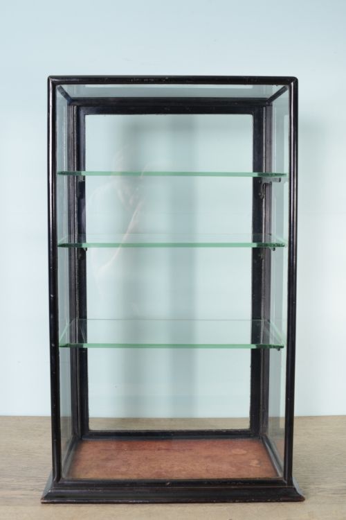 fig 1. Antique Ebonised Mahogany & Glass Display Case