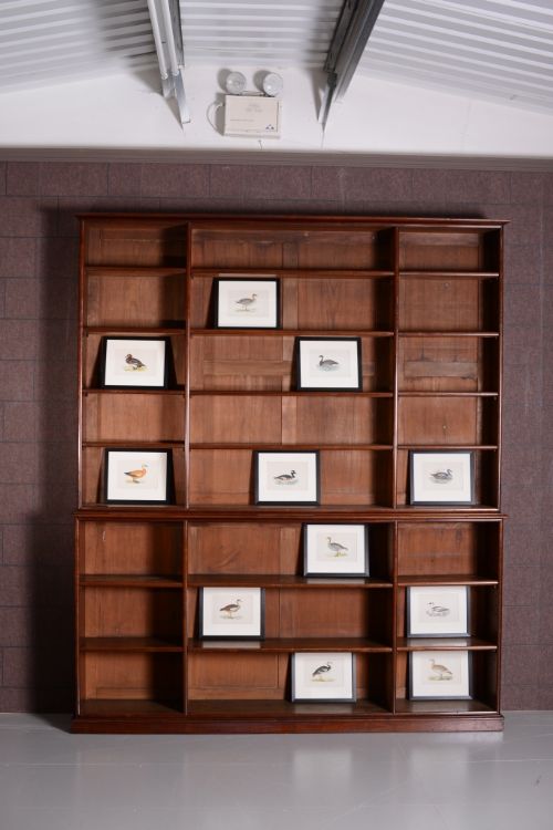 Huge William IV Antique Mahogany Open Bookcase