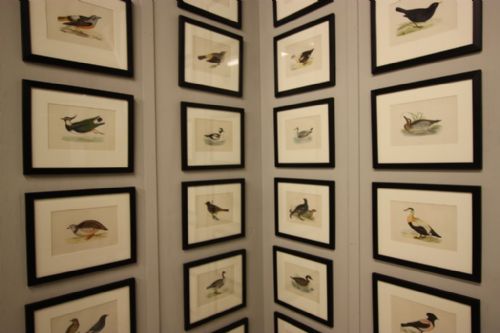 fig 1. 27 English Antique 19th Century Framed Bird Prints