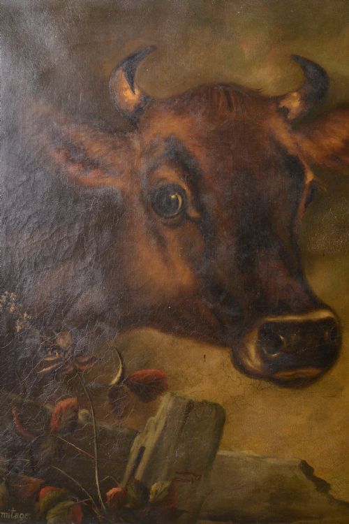 19th Century Antique Jersey Cow Oil Painting.