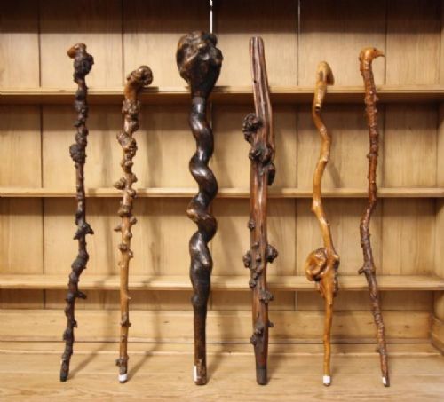 fig 1. A Stonking Collection of Six Antique Walking Sticks