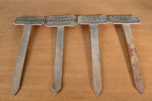 fig 1. Collection Of Four Antique Pine Tree Specimen Labels