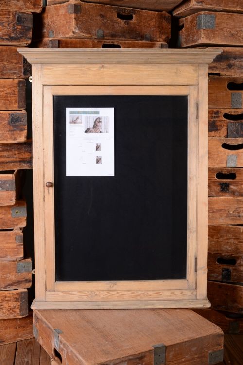 fig 1. 19th Century Antique Glazed Pine Wall Display Case