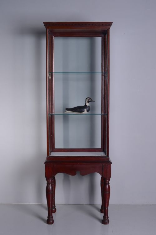19th Century Antique Mahogany Display Cabinet.