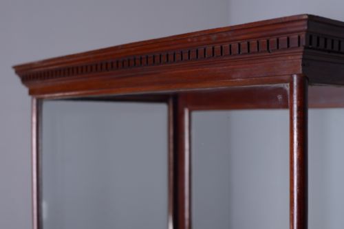 fig 2. 19th Century Antique Mahogany Display Cabinet.