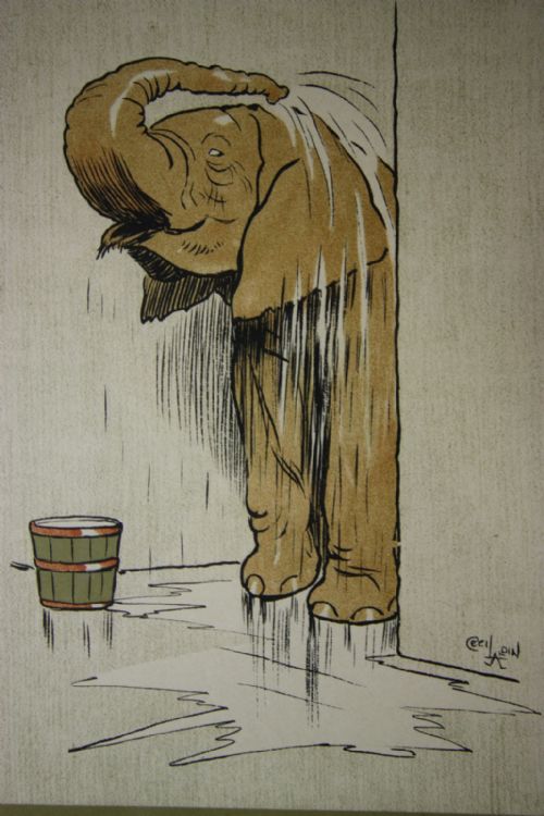 Set of 24 Cecil Aldin Zoo Babies Prints