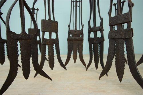 Collection of Unusual Antique Eel Gleaves.