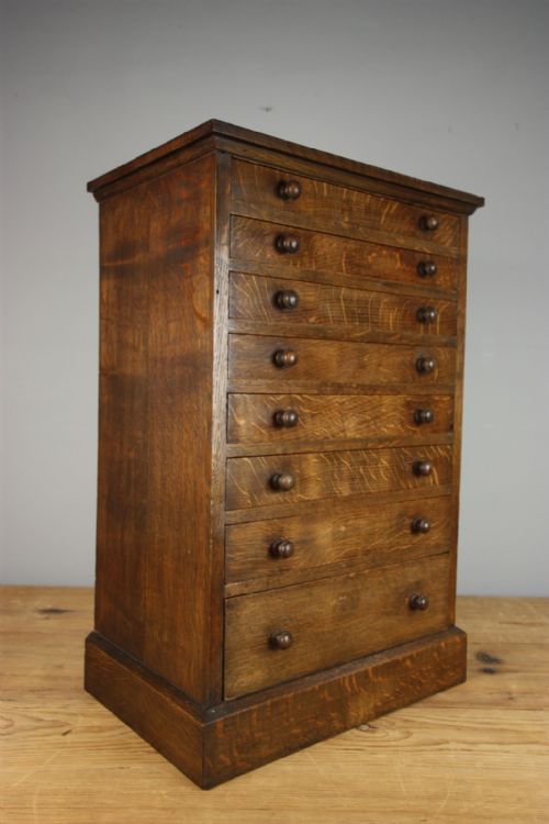 19th Century English Antique Oak Specimen Chest.