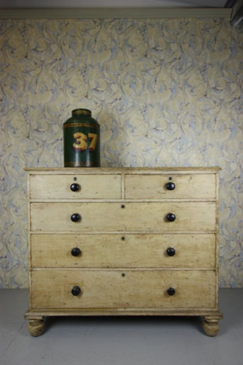 19th Century English Antique Pine Chest in Original Cream.