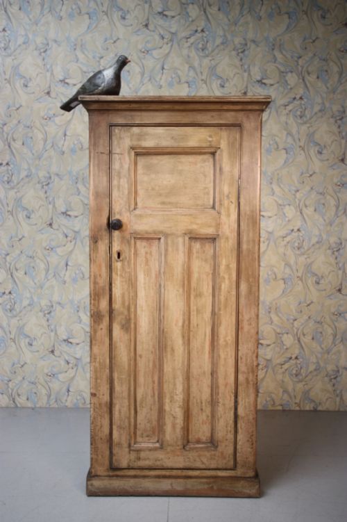 19th Century Antique Pine Cupboard in Original Paint.