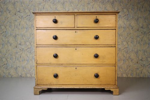 Regency English Antique Pine Chest in Original Paint.