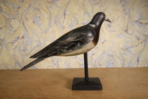 Edwardian Antique Decoy Pigeon.