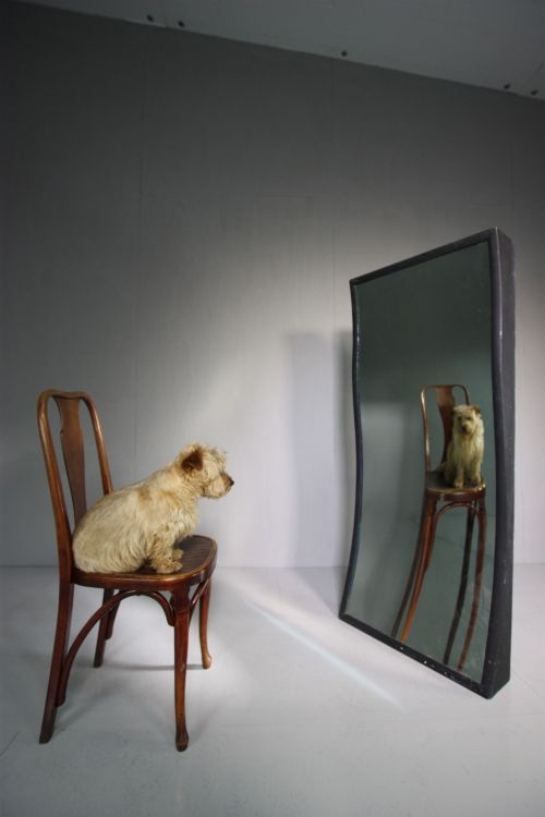Large Edwardian Antique Fairground Mirror.