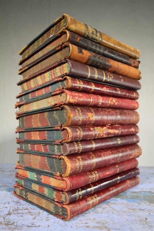Collection of Edwardian Antique Leather Books.