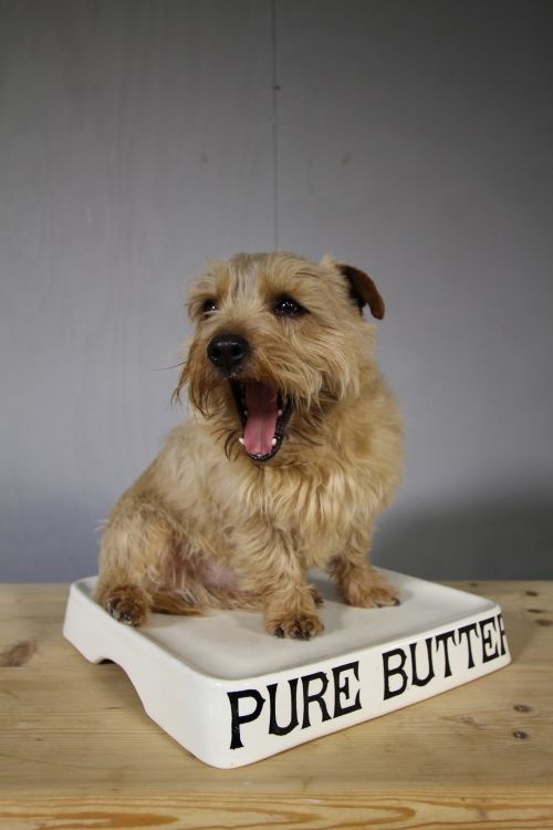 Fabulous English Antique Parnall's Pure Butter Slab.
