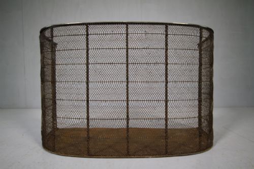 Ornate Regency Antique Fire Guard.