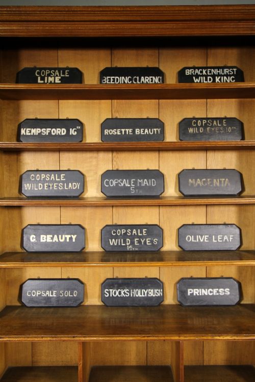 Set of 16 Edwardian Antique Dairy Cow Name Plaques.