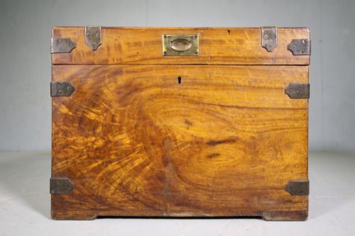 19th Century English Antique Camphor Wood Trunk
