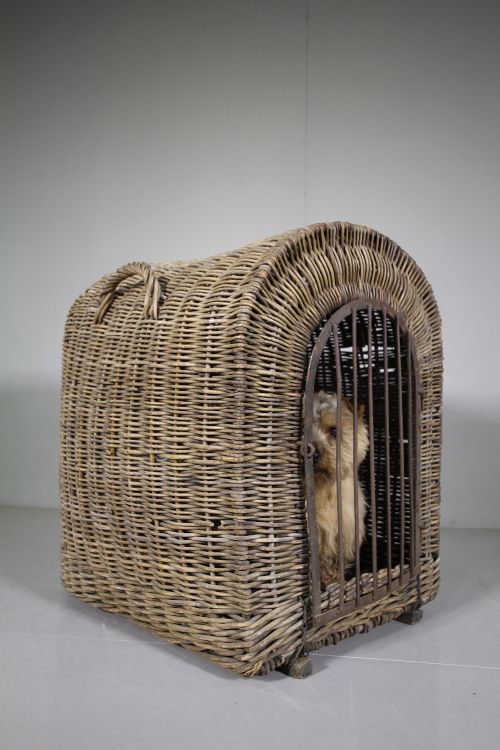 Edwardian Antique Willow Dog Hutch / Bed