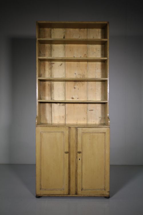 Regency Original Painted Pine Antique Bookcase