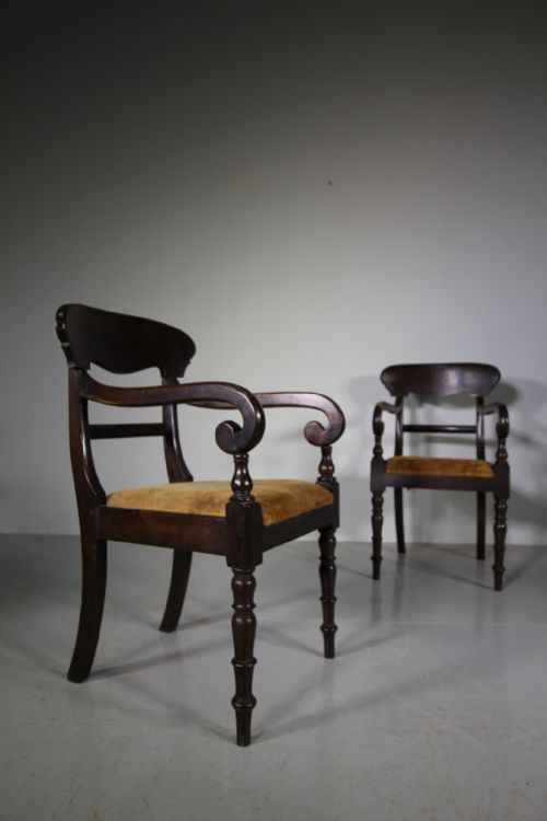 Pair of William IV Antique Laburnum Wood Carver Chairs