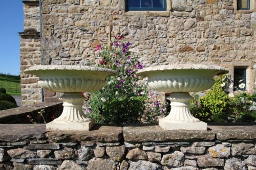 Wonderful Large Pair of English 19th Century Antique Iron Tazza Urns