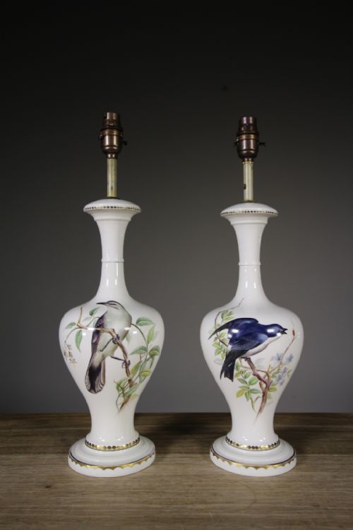 Pair of Edwardian Antique Porcelain Table Lamps Painted by W.nicholls