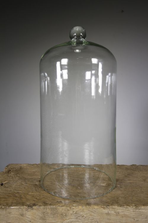 Large English 19th Century Antique Glass Dome Cover