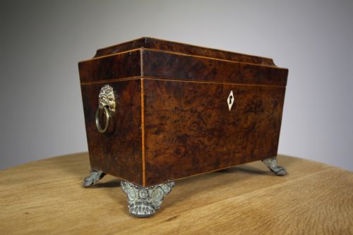 English Early 19th Century Antique Burr Yew Wood Caddy