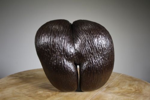 Original Large & Full Antique Coco De Mer