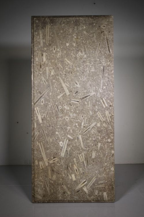 English 18th Century Antique 'Fossil Stone' Marble Tabe Top