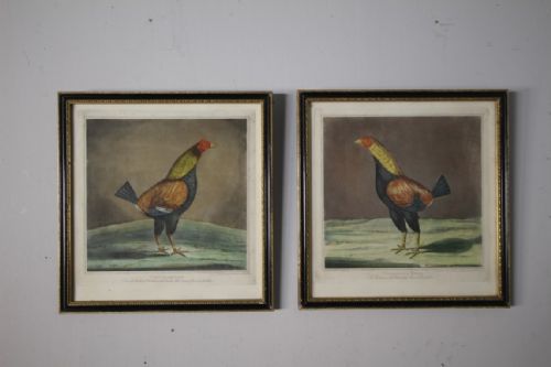 Pair of English Early 19th Century Antique Cock Prints