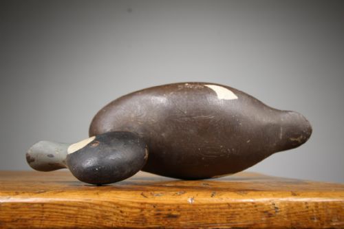 ORIGINAL ENGLISH EDWARDIAN ANTIQUE DECOY DUCK - ADDITIONAL PHOTO 1