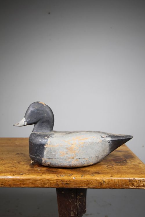 Honest English Edwardian Antique Decoy Duck – Stamped