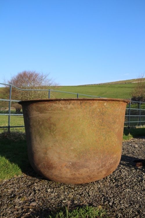 Huge English 19th Century Antique Cast Iron Planter