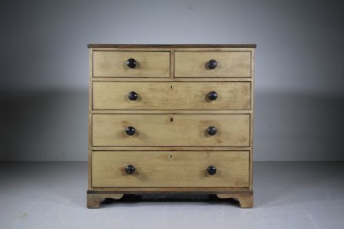Regency Original Painted Pine English Antique Chest of Drawers