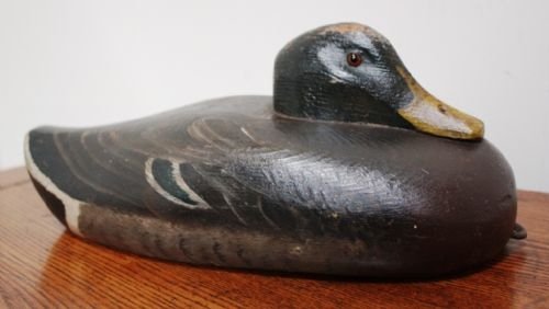 Edwardian Antique Decoy Duck