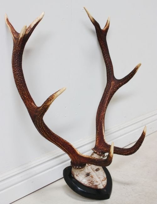 Set of Antique Antlers
